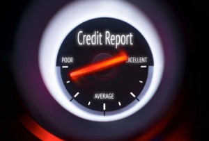 Credit Report 