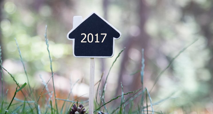 Loans and Their Prospects in 2017